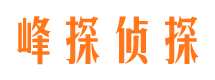 辰溪捉小三公司